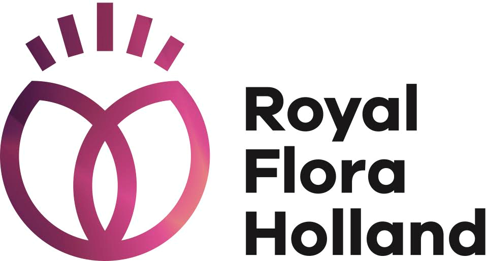 flora holland